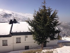 Sierra Nevada