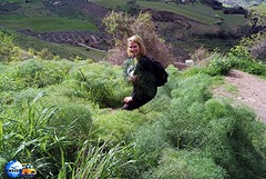In Ronda