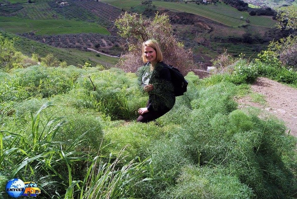 In Ronda