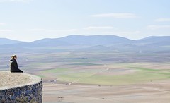 Consuegra