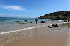 Bolonia