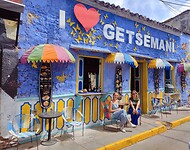 IMG_20240212_152754