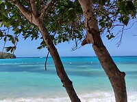 IMG_20240209_140249
