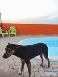 IMG_20240206_120422