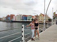 IMG_20240203_151525
