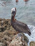 IMG_20240202_123438