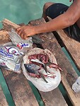 IMG_20240202_123046