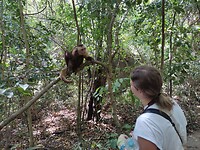 IMG_20240130_120705
