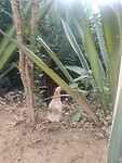 IMG_20240126_075951