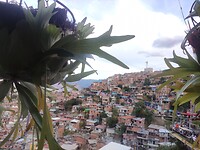 IMG_20240121_173748