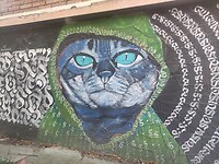 IMG_20240121_142237