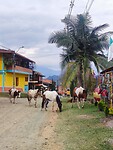 IMG_20240120_201113