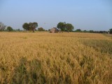 Cambodja