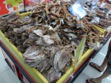 Van alles te koop in doorsnee supermarkt
