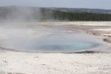 warm meertje in Yellowstone park