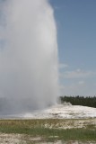 Old faithfull geiser Yellowstone park