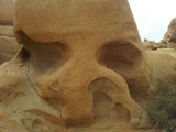 Skull rock.