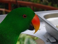 DSCF0011