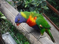 DSCF0037