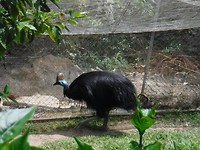 DSCF0058 (2)