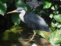 DSCF0077