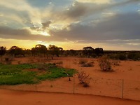 East Mc Donnell ranges & Erlunda (3)