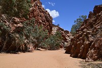East Mc Donnell ranges & Erlunda (6)
