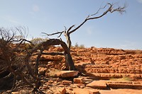 Kings Canyon (1)