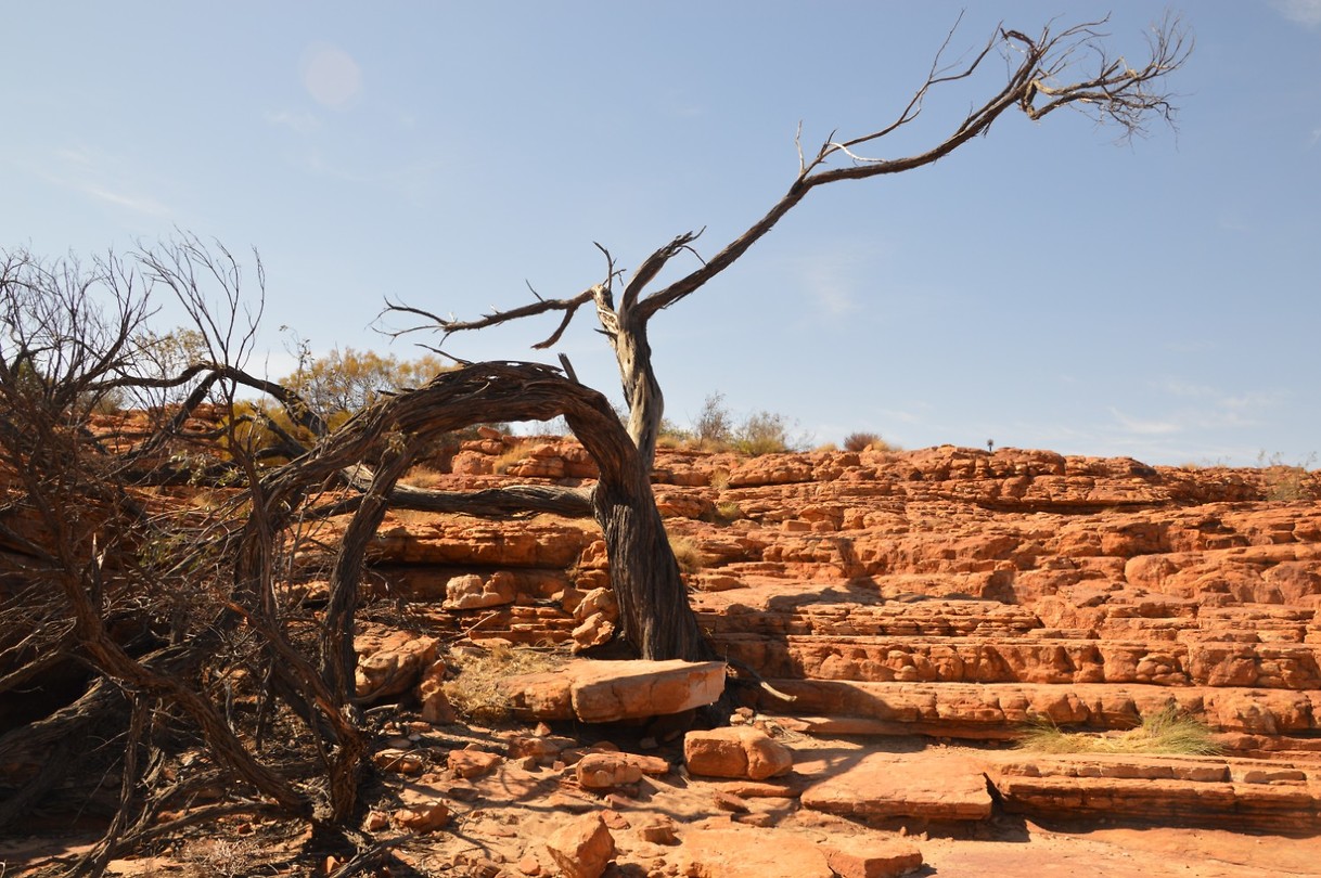 Kings Canyon (1)