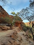 Kings Canyon (19)