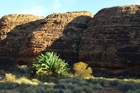 Kings Canyon (23)