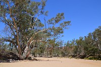 West Mc Donnell's Ranges (14)