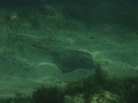 3 Onderwater (4)