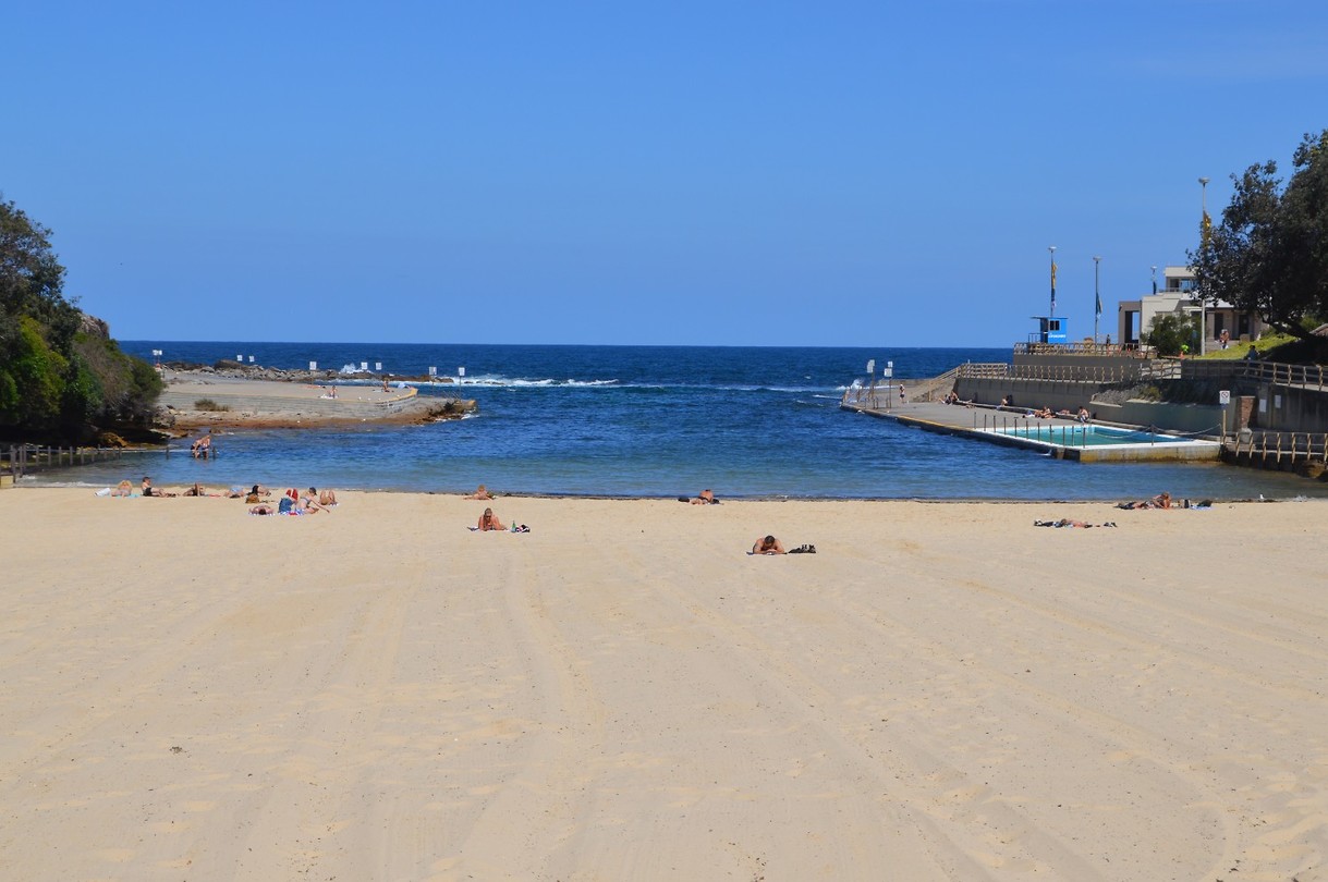 Clovelly Beach (1)