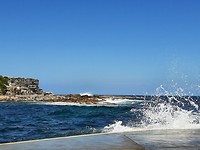 Clovelly Beach (2)