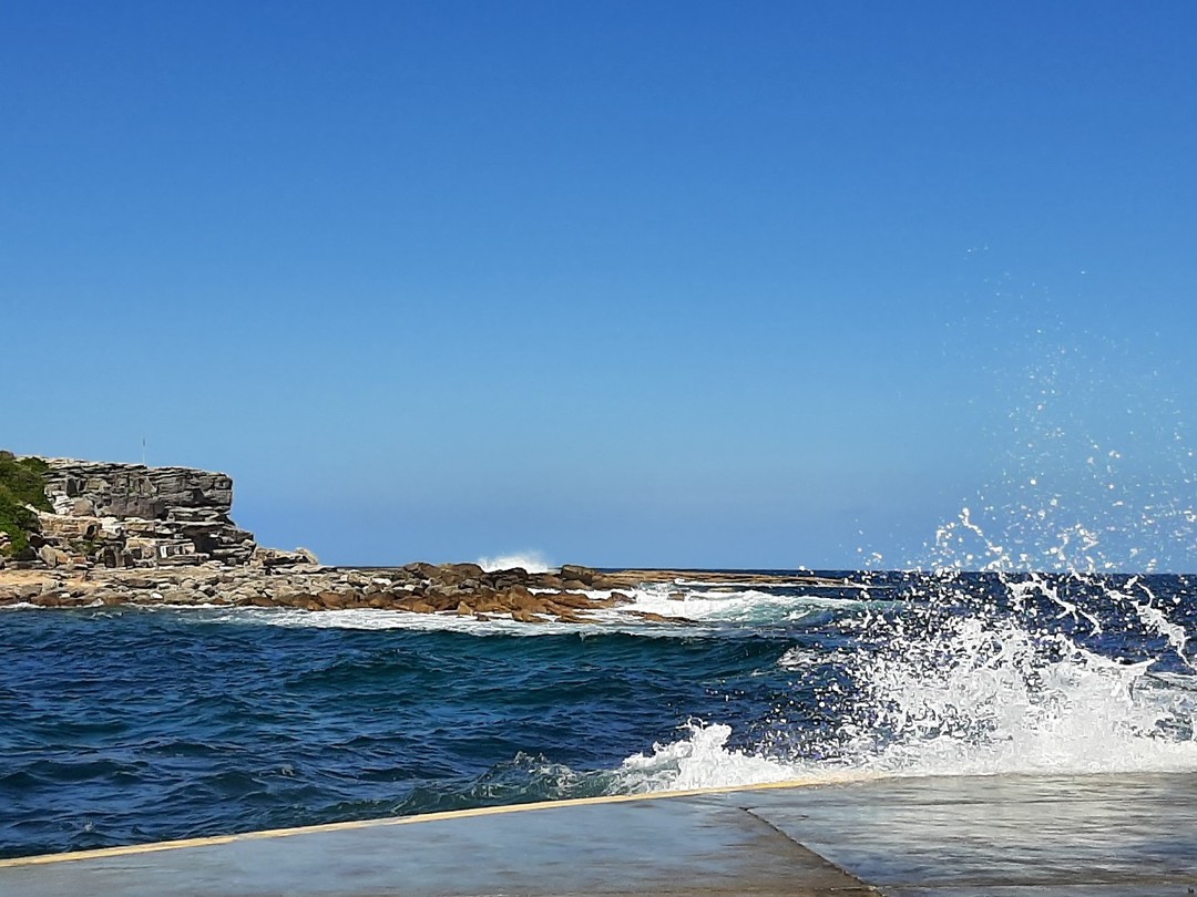 Clovelly Beach (2)