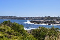 Clovelly Beach (3)