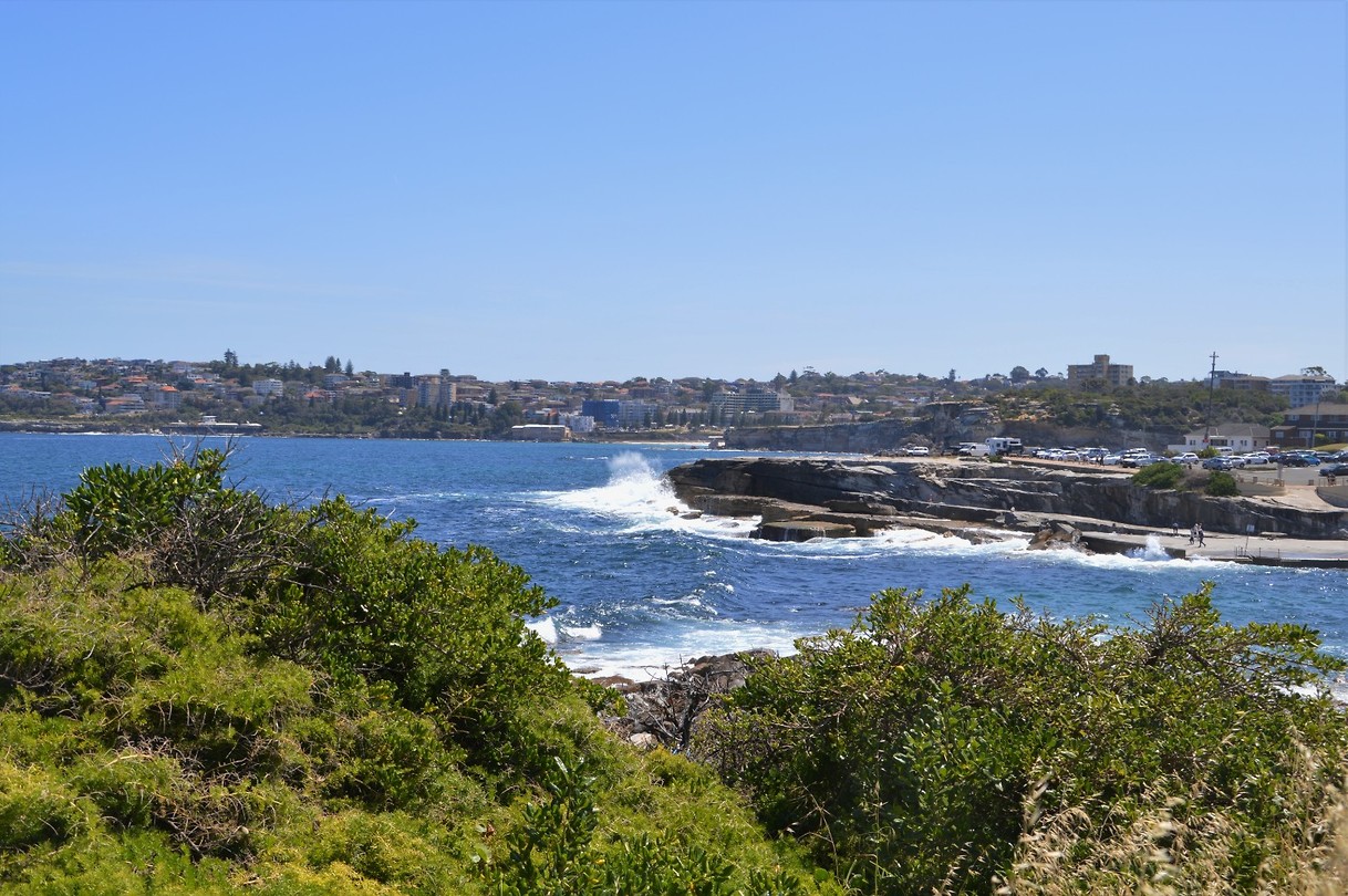 Clovelly Beach (3)