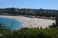 Coogee Beach