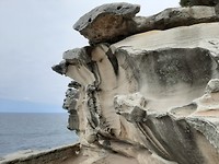 Wandelroute van Coogee Beach tot Bondi Beach (1)