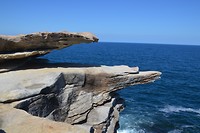 Wandelroute van Coogee Beach tot Bondi Beach (11)