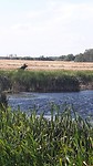 IMG_3818