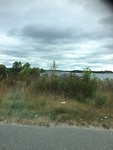 IMG_3845