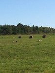IMG_3892