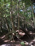 IMG_3894