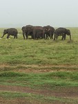 in Nationaal Wildpark