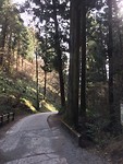 Mt Takao
