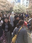 Japanners en de pruimenbloesem