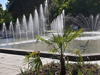 Dag 2 botanische tuin