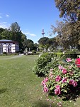 Dag 2 botanische tuin